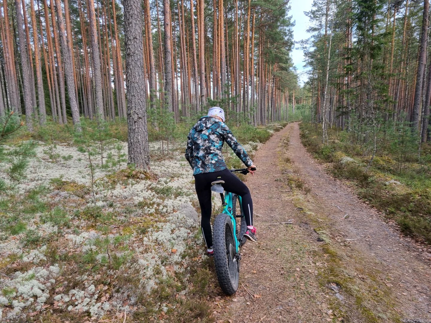 Saarjärve_matkarada