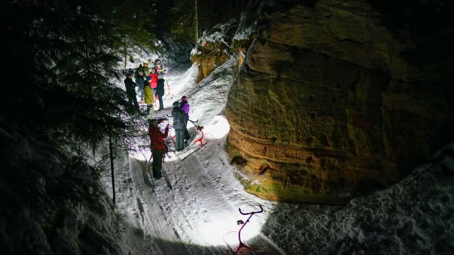 Night Sled Tour in Taevaskoja