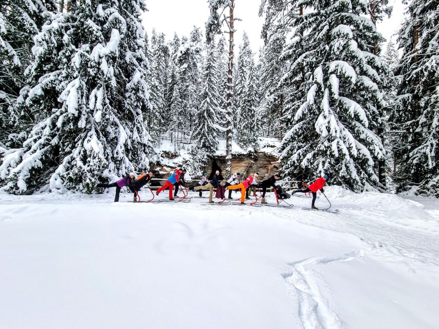 Tõukekelgumatkad Taevaskoja radadel