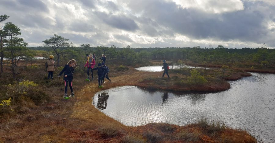 Männikjärve raba