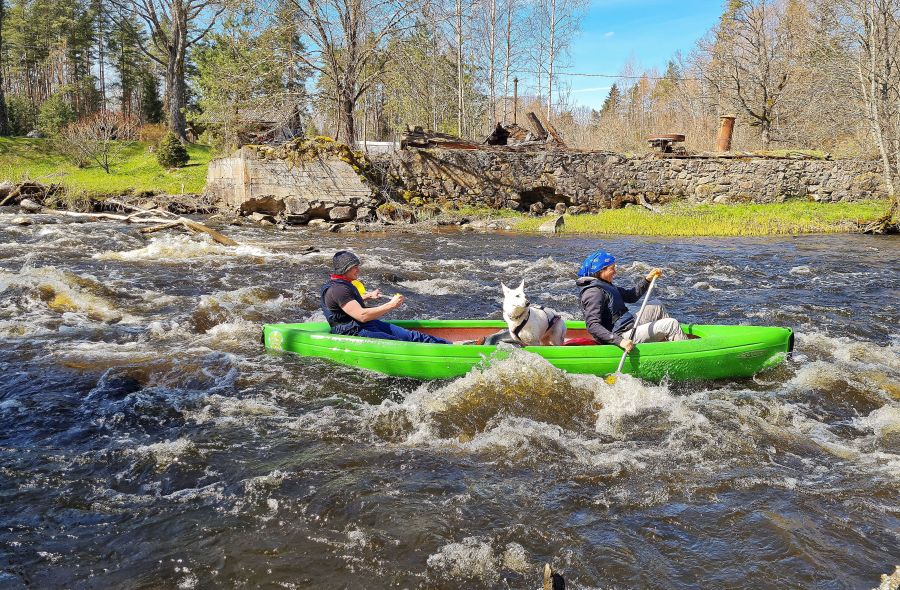 Canoeing Võhandu River