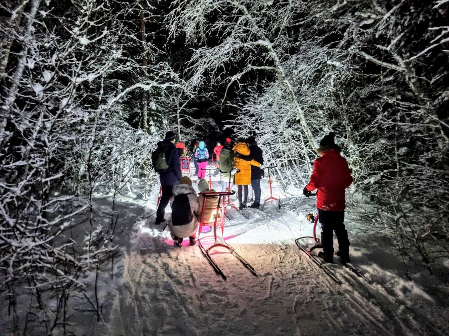 Valgussäras tõukekelgumatkad Taevaskojas