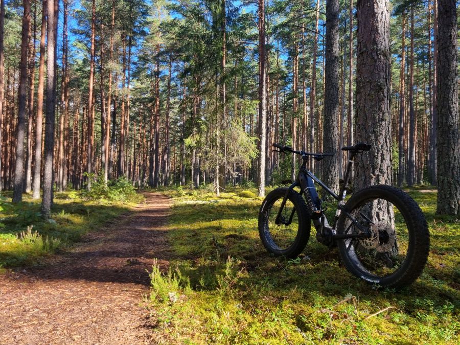 Fatbike matkad Saarjärvel