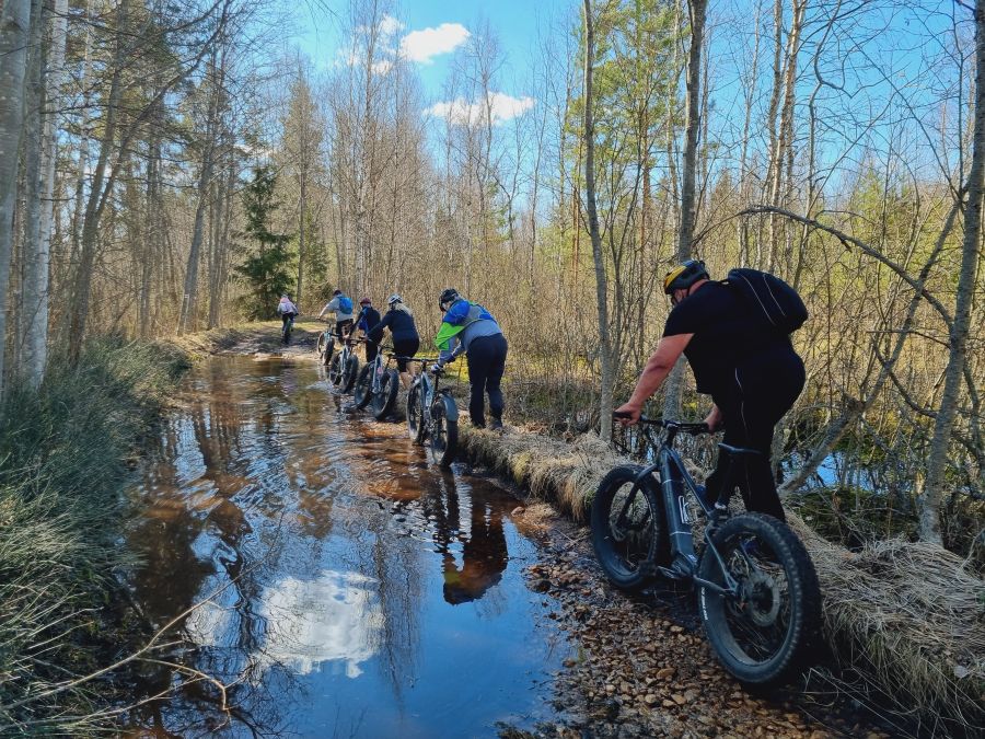 E-fatbike matk kevadel